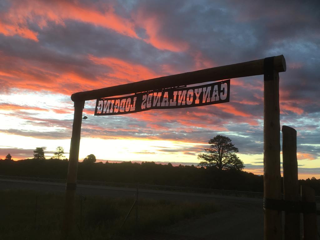 Lupine Cabin, Glamour Camping, Stunning Skies And Sunrise Views Monticello Kültér fotó